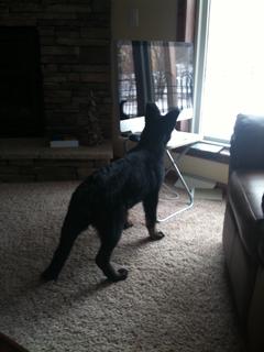 kathys iphone 299.JPG